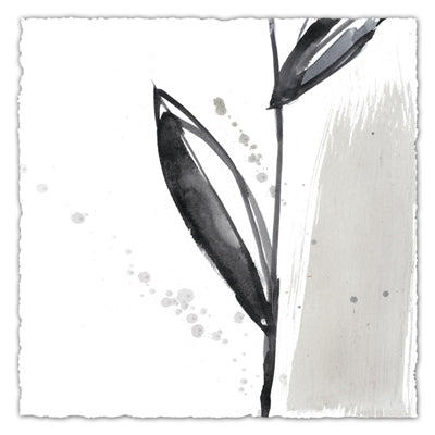 Blush Flower Splash IV