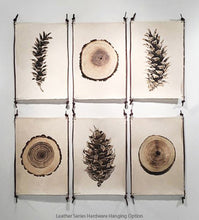 Load image into Gallery viewer, Nest Study #2
