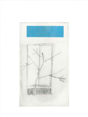 Nuage 2011