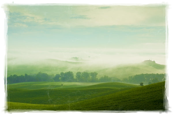 Tuscan Valley