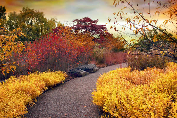 Native Garden Walkway