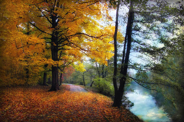 Autumn River View