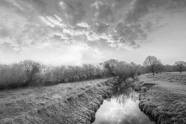 Beverly Brook Warm Sunrise