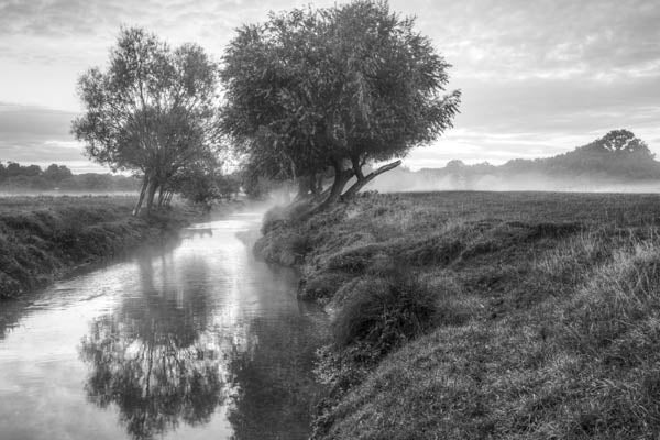 Early Morning Mist Richmond Park