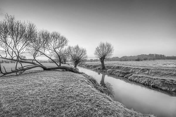 Beverly Brook Early Winter Morning