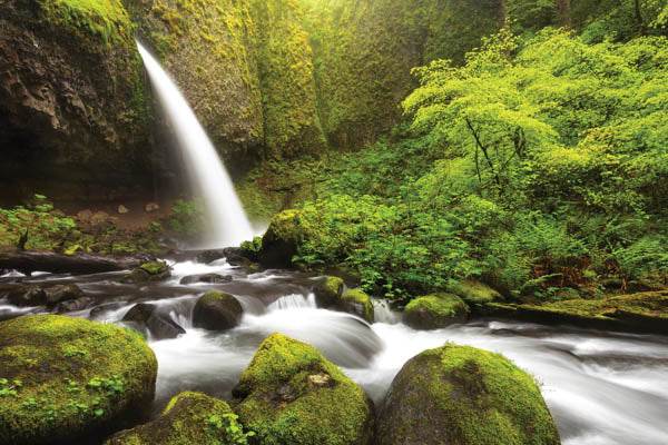 Green Waterfall I