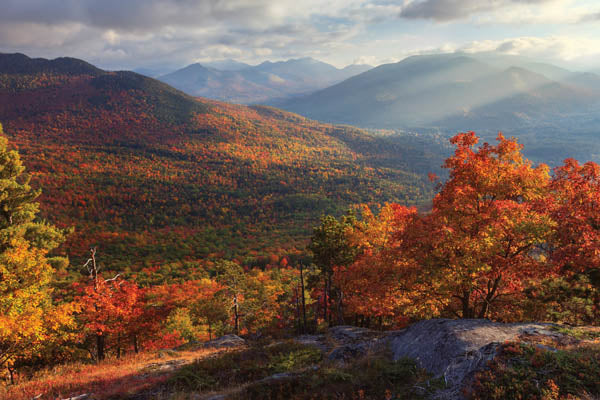 Autumn Hike I