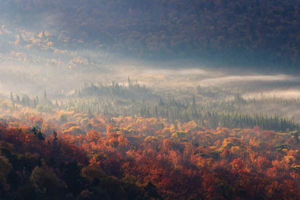 Autumn Hike II