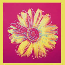 DAISY, C.1982 (Fuchsia & Yellow)