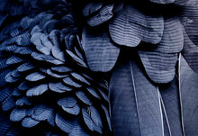 Load image into Gallery viewer, Deep Blue Feathers
