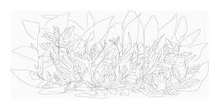 Feuilles